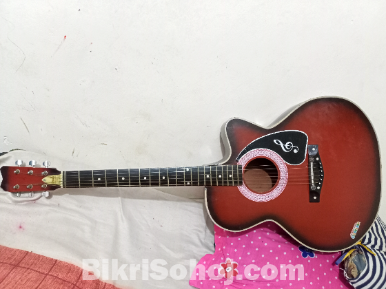 Givson Guiter made in india